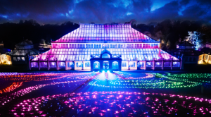 Christmas at Kew light show
